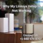Why My Linksys Velop Is Not Working | +1-800-439-6173
