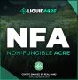 Revolutionizing Real Estate: Introducing Non-Fungible Acres 
