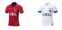 Unveiling the Beauty: Kashima Antlers' Jersey - A Must-Have 