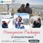 Small package Ooty Mysore Honeymoon Package