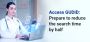 Access GUDID: Prepare to reduce the search time by half