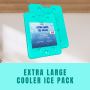 Launching GURIN Reusable Extra Large Ice Packs
