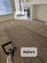 Eco-Friendly Carpet Cleaning in Parker CO