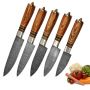 Hand Forged Damascus Steel Chef's Knife Set of 5 Kitchen Gif