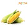 Maize Products | A Division of Sayaji Industries Ltd.