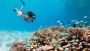 Scuba Diving Tour Packages in Maldives