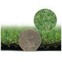 Create A Fresh Green Outdoor Appeal? Buy Artificial Grass
