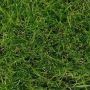 Create Fresh Green Outdoor Appeal Buy 40mm Artificial Grass