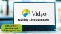 Certified Vidyo Mailing List Providers in USA-UK