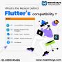 Best Flutter Web Development Company Meentosys