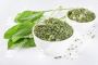 Dried Spinach Leaves & Powder- Manufacturer, Supplier