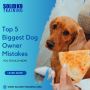 Top 5 Biggest Dog Owner Mistakes You Should Know
