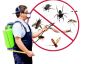 Are You Looking For Best Pest Control Services In San Angelo