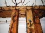 Want a Best Termite Control Services In San Angelo?