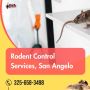 Need Expert Rodent Control Services in San Angelo?