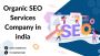 Grow Your Indian Business Online: Powerful Organic SEO Strat
