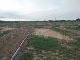 Oasis Green Location Plot in Keshwana Industrial Area for Sa