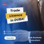Dubai trade licenses, Arab business consultant expertise