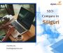 Siliguri's premier SEO experts boost online visibility.