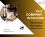 Leading SEO Companies in Siliguri Deliver Impactful Results