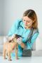 Trusted Care Nearby: Finding a Good Veterinary Doctor Near M