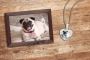 Buy Customized Pet Memorial Necklaces to Keep Their Memories