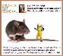 Rat trapping and exclusion services agency in Atlanta, GA
