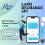 Empower Your Business with Lapu Recharge API Solutions from 