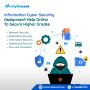 Information security Assignment Help Online in USA