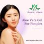 Best Aloe Vera Gel For Pimples Skin | Mystic Vibes