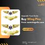 Upgrade Your Style: Buy Wing Pins from nametags4u.com