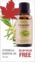 CITRONELLA OIL - 30ML CITRONELLA OIL - 30ML