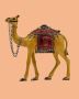 Rajasthani Design Camel in Jaipur