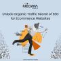 Unlock Organic Traffic Secret of SEO for Ecommerce Websites