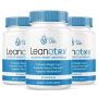 Best Leanotox Advanced Weight Loss Supplement 2023