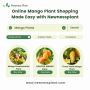Online Mango Plant Shopping Made Easy with Newnessplant