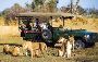 Kenya Safari Tours 