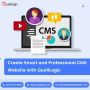 Custom CMS Website Development Services USA | QualiLogic