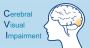 Cerebral Visual Impairment: Understanding and Addressing Vis
