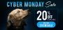  Cyber Monday Sale -20% off +Free Shipping +Exclusive Deal
