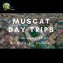 Unveiling the Magic of Desert Safari Muscat.