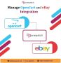 Manage OpenCart and eBay Integration with OnePatch