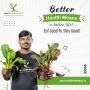 Best Vegetables for Hydroponic Culture