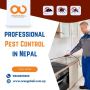 Expert Pest Control in Nepal