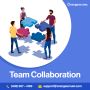 Orangescrum Team Collaboration Software 