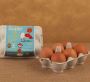 Best DHA Omega 3 Eggs Online | Best Eggs Brand in UAE
