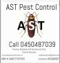 Best Rodent Control Service in Ruse