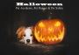 Halloween- Pet Accidents, Pet Danger & Pet Safety