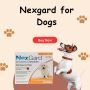 Nexgard for Dogs: Buy Nexgard Flea and Tick Treatment for Do