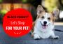 Black Friday Deals for Pets – Let’s Shop For Your Pet !